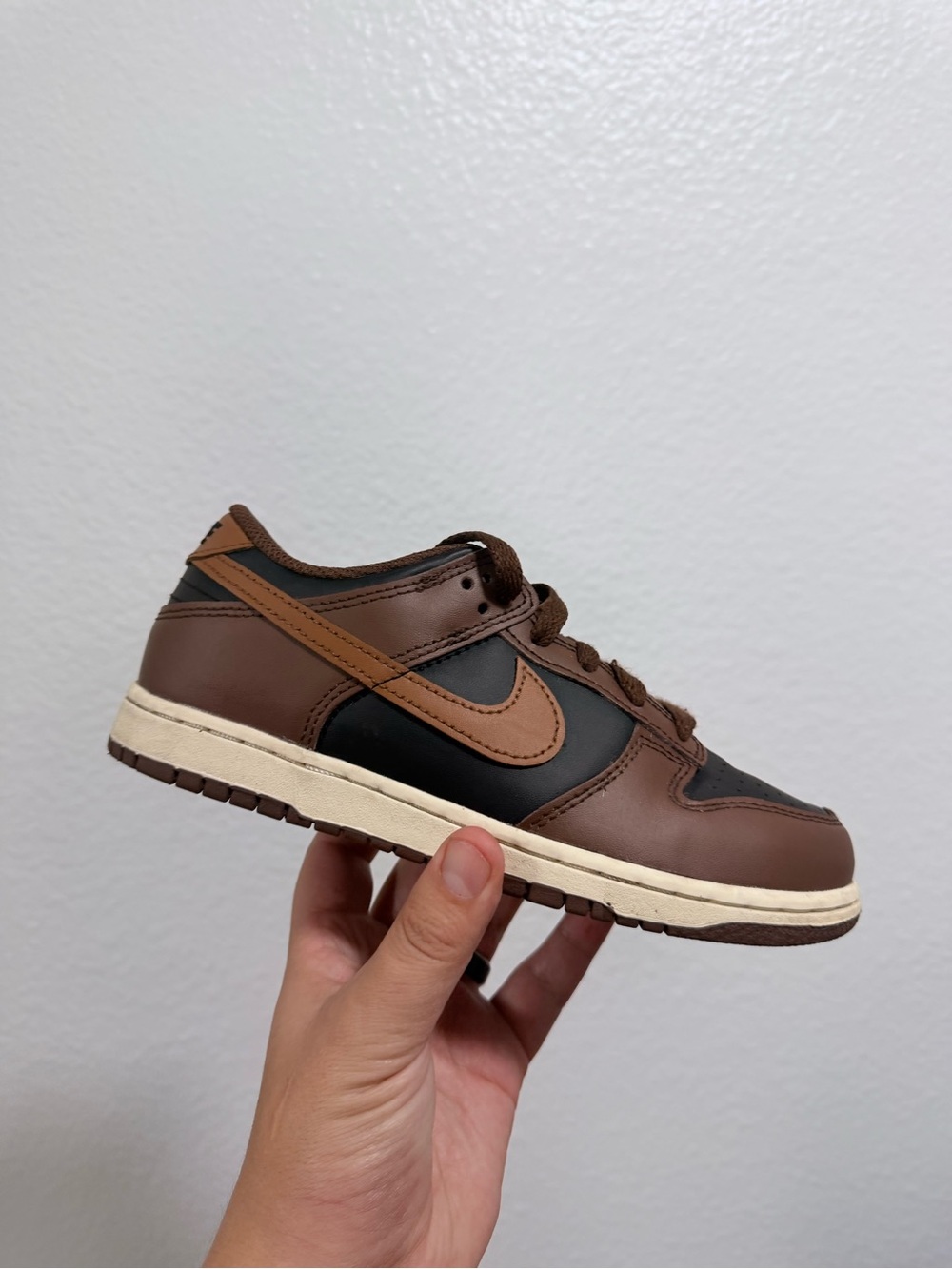 Nike dunk low brown